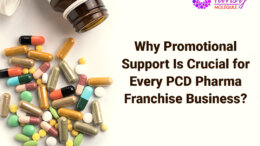 PCD Pharma Franchise Business- Why Promotional Support Is Crucial for Every PCD ?