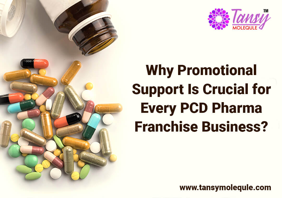 PCD Pharma Franchise Business- Why Promotional Support Is Crucial for Every PCD ?