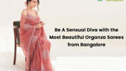 Organza Sarees from Bangalore