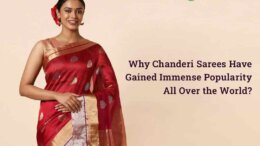 Why Chanderi Sarees Have Gained Immense Popularity All Over the World?