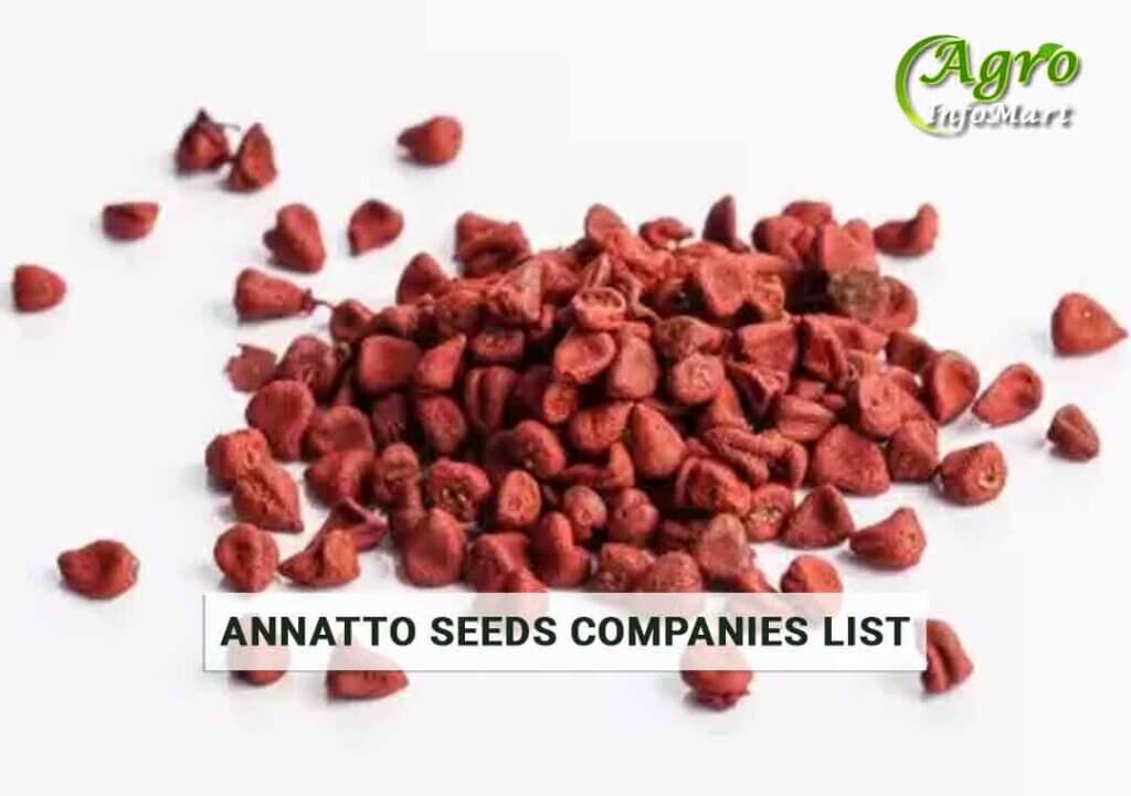 Annatto Seeds Manufacturers Companies List In India