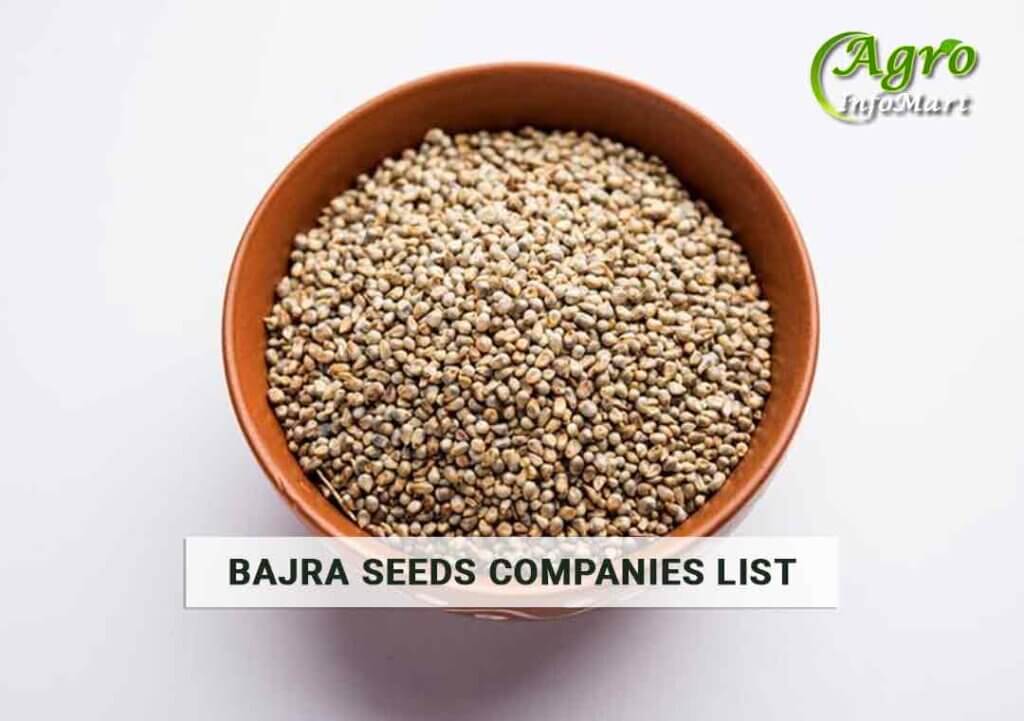 Bajra Seeds Manufacturers Companies List In India