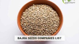 Bajra Seeds Manufacturers Companies List In India