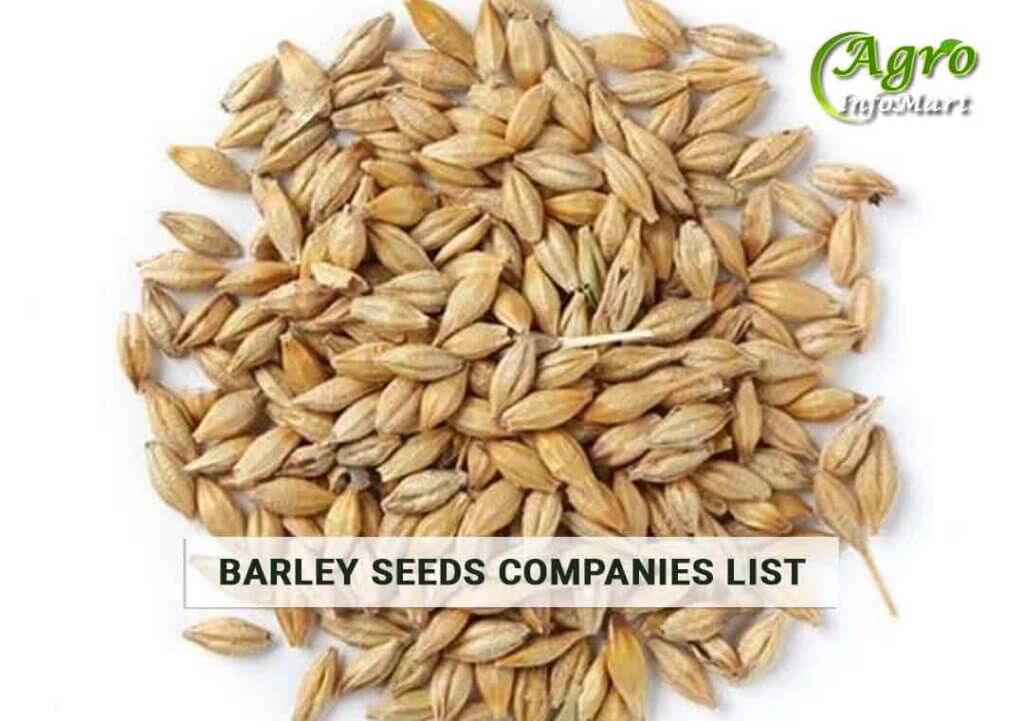 Barley Seeds Manufacturers Companies list In India