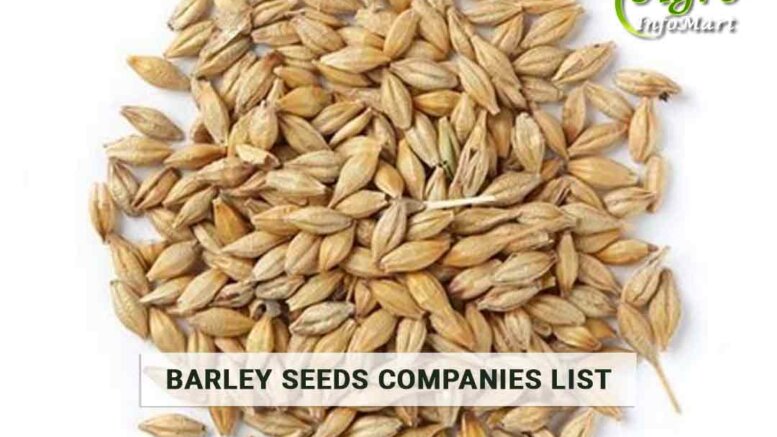 Barley Seeds Manufacturers Companies list In India