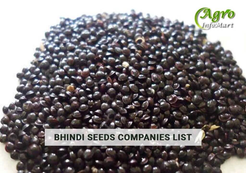 Bhindi Seeds Manufacturers Wholesalers, Exporters Companies List In India