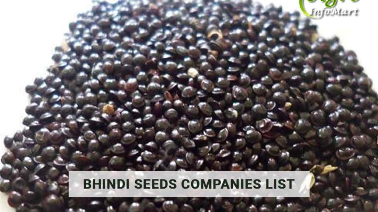 Bhindi Seeds Manufacturers Wholesalers, Exporters Companies List In India