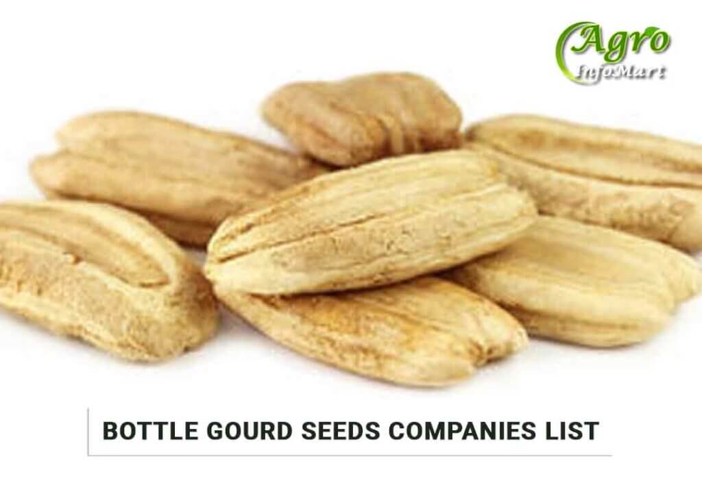 Bottle Gourd Seeds Manufacturers companies List in india