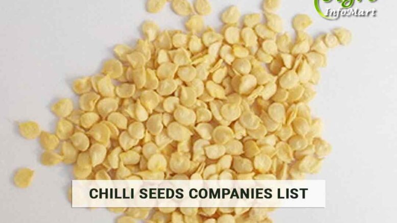 Chilli Seeds Manufacturers Companies in india