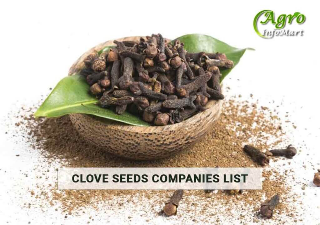 Clove Seeds Manufacturers Companies List In India