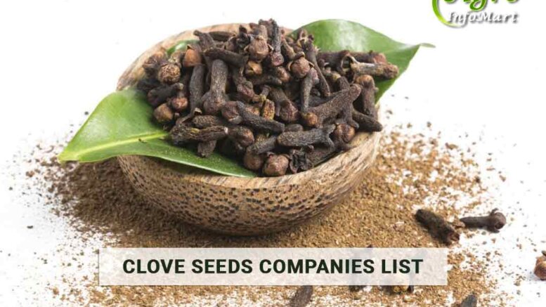 Clove Seeds Manufacturers Companies List In India