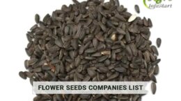 Flower Seeds Seeds Manufacturers, Wholesaler ,Exporters, And suppliers Companies List in India