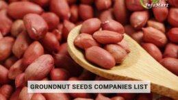 Groundnut seeds manufacturers Companies List In India