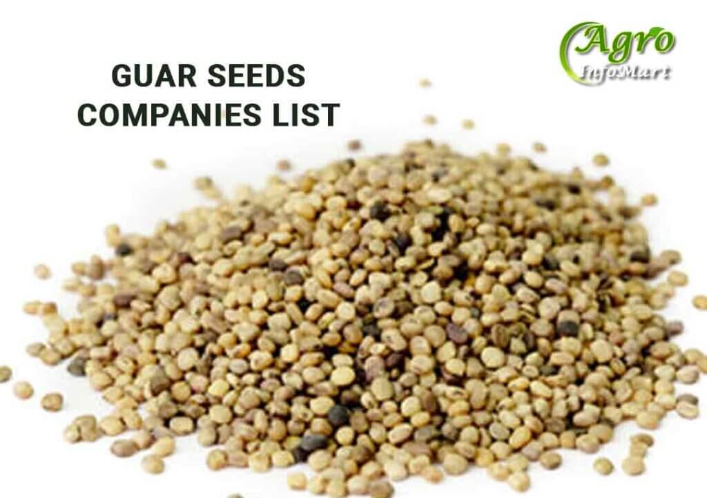 Guar Seeds Manufacturers Companies List in India