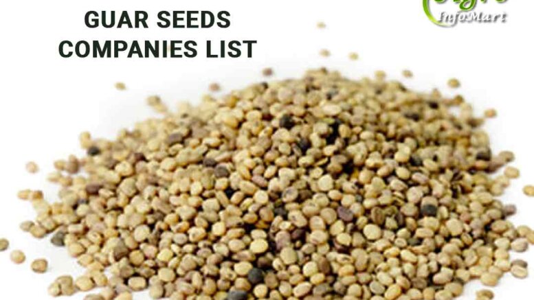 Guar Seeds Manufacturers Companies List in India