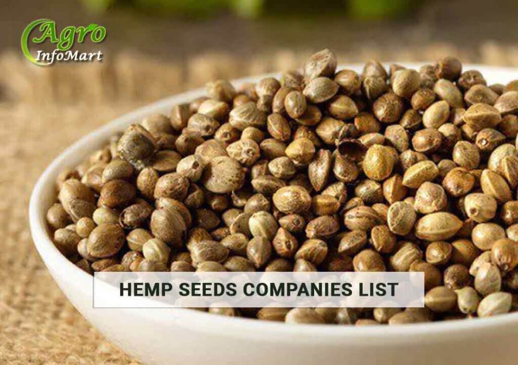 Hemp Seeds Manufacturers Companies List in India