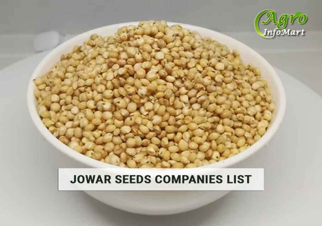 Jowar Seeds Manufacturers, Wholesalers, Exporters Companies List In India