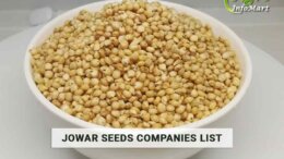 Jowar Seeds Manufacturers, Wholesalers, Exporters Companies List In India