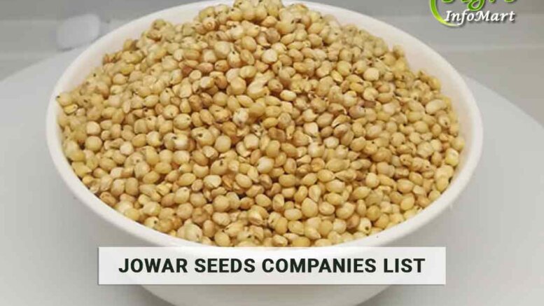 Jowar Seeds Manufacturers, Wholesalers, Exporters Companies List In India