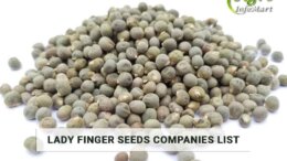 lady finger seeds Manufacturers Companies List