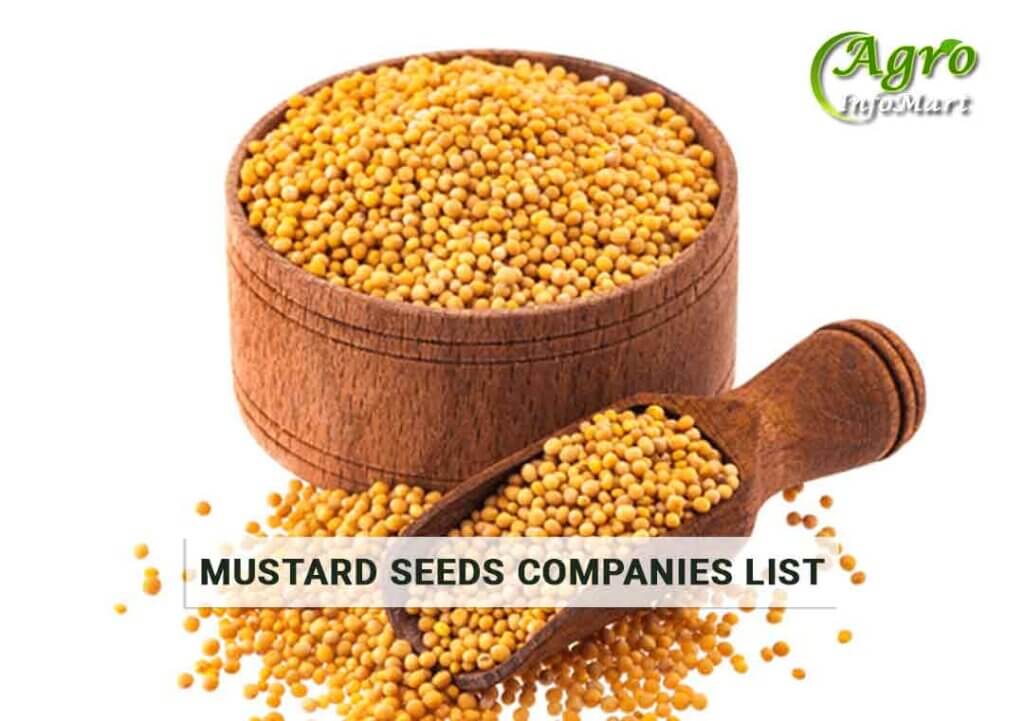 Mustard Seeds Manufacturers Companies List In india