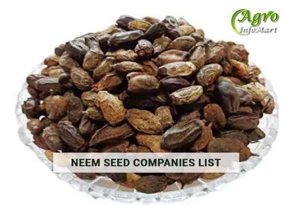 Neem Seeds Manufacturers companies List