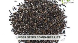 India's Top Niger Seeds Manufacturers Companies