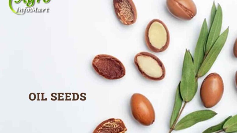 Oil seeds Manufacturers Companies List