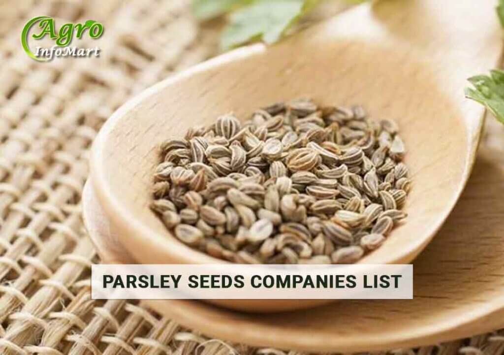 Parsley Seeds Manufacturers, Suppliers, Exporters Companies List In India