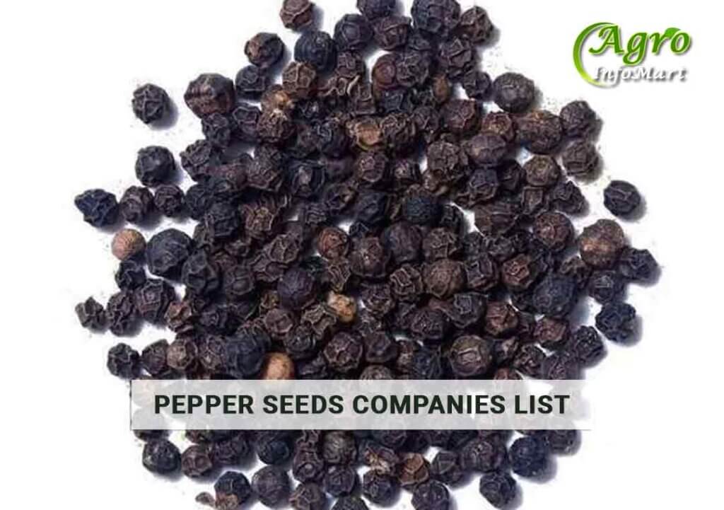 Pepper Seeds Manufacturers Companies List In India