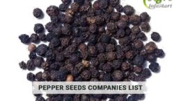 Pepper Seeds Manufacturers Companies List In India