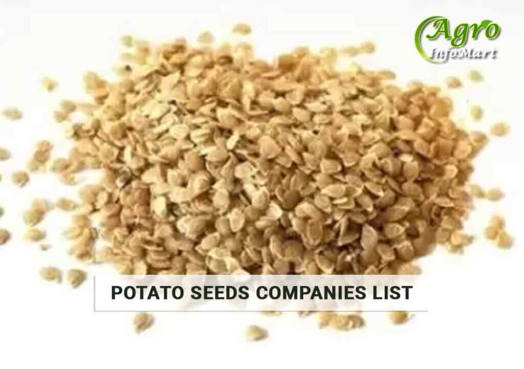 Potato Seeds Manufacturers Companies List In India