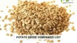 Potato Seeds Manufacturers Companies List In India