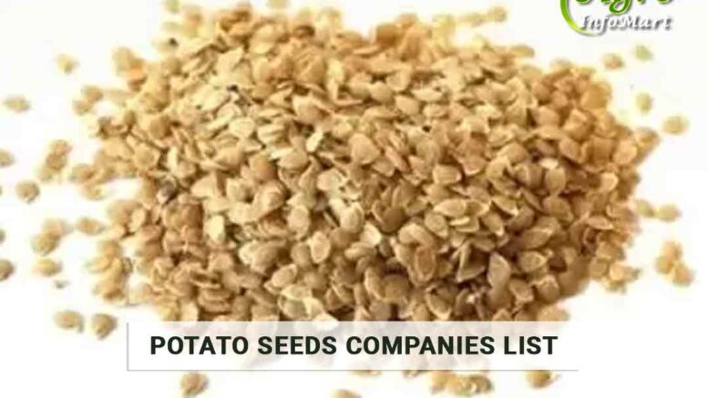 Potato Seeds Manufacturers Companies List In India