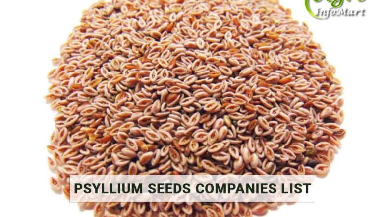 Psyllium Seeds Manufacturers Companies List in india