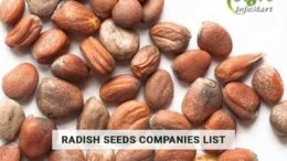 Radish Seeds Manufacturers Wholesalers, Exporters Companies List