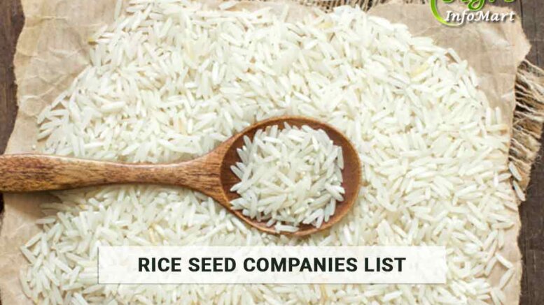 Rice Seeds Manufacturers Companies List in India