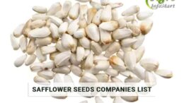 Safflower Seeds Manufacturers Companies List in India