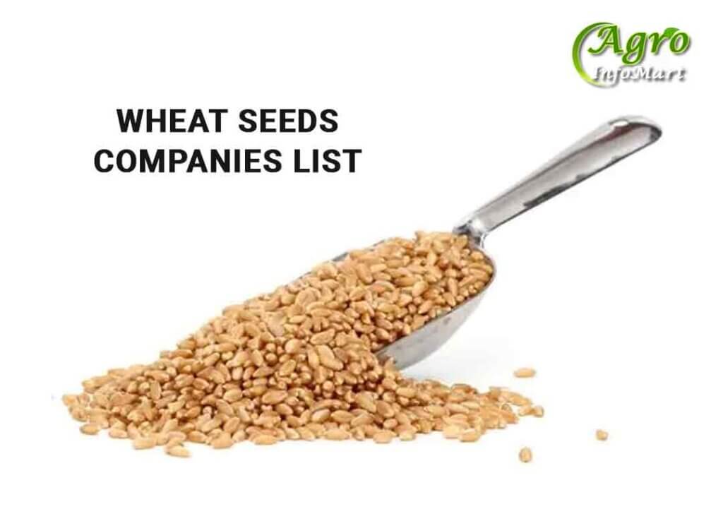 Wheat Seeds Manufacturers Companies List In India