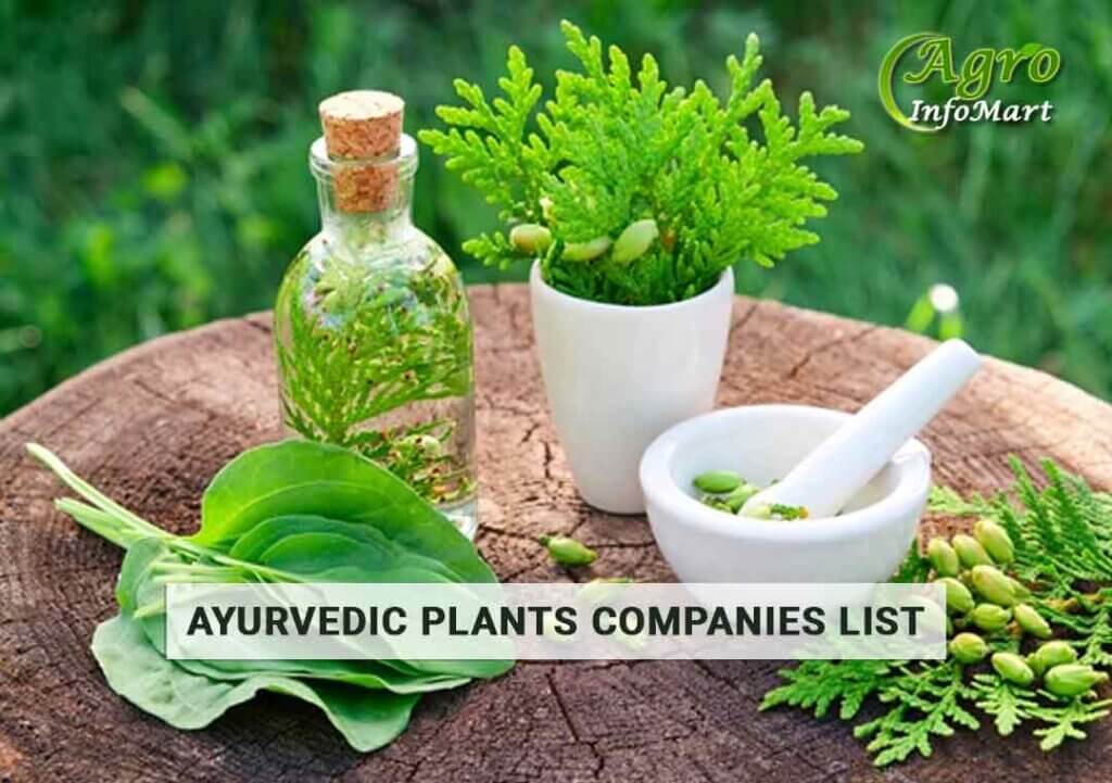 Top Rated And Trusted ayurvedic plants manufacturer Companies In India