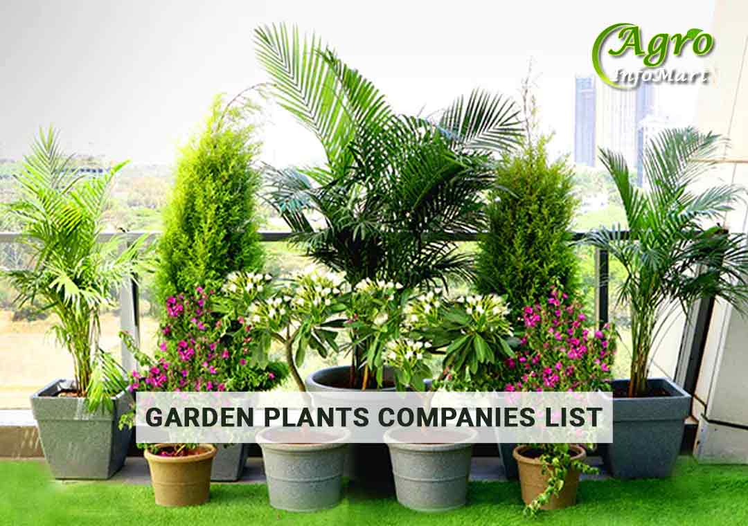 India's High Quality garden plants Manufacturers Companies In India