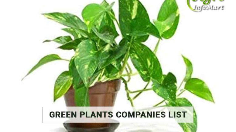 high-Quality Green Plants Manufacturers Companies In India