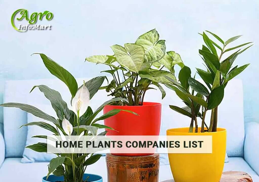 home plants manufacturers companies in india