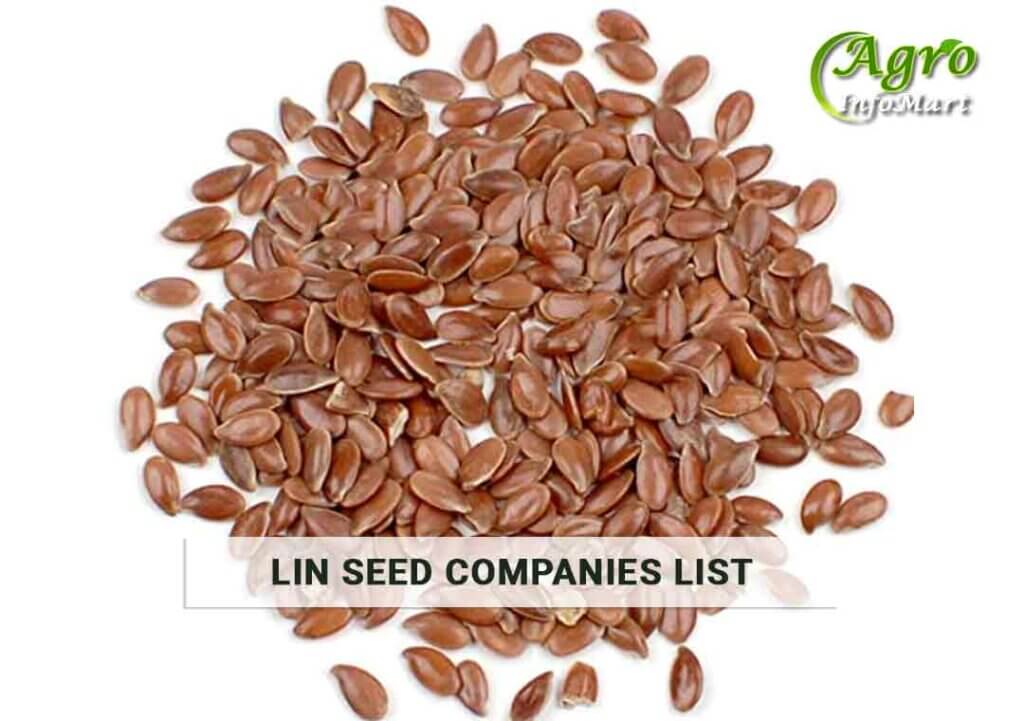 linseedSeeds Manufacturers Exporters Companies List