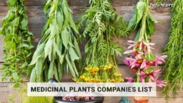 Supreme Quality medicinal plants manufacturers, suppliers, wholesalers companies list in india