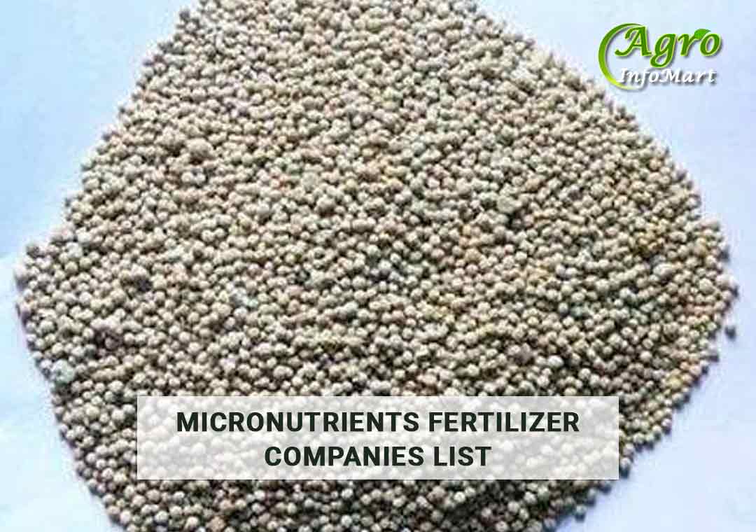 Micronutrients Fertilizer manufacturers Companies List From India