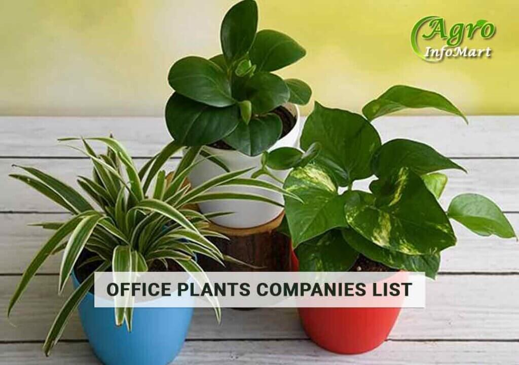 Office Plants Manufacturers Companies List in India