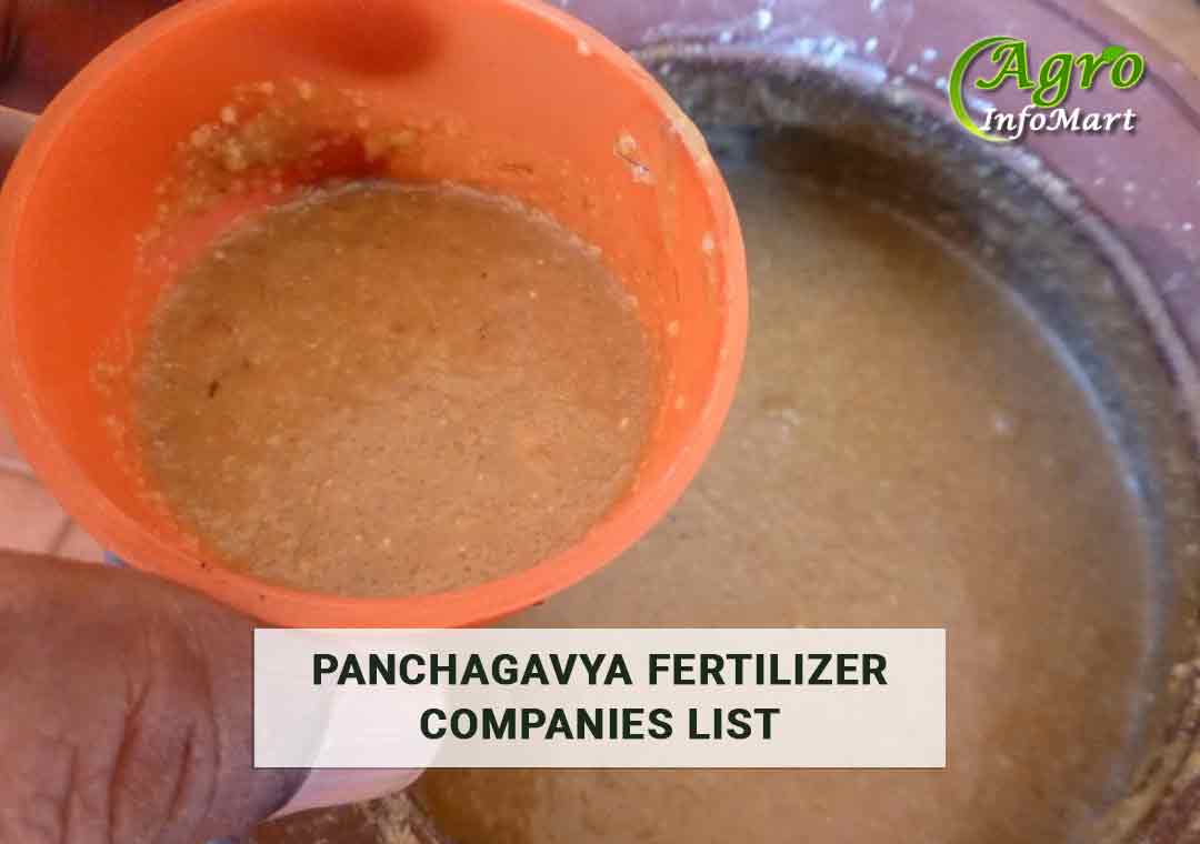 India's Top Quality Panchagavya Fertilizer Manufacturers Companies List 