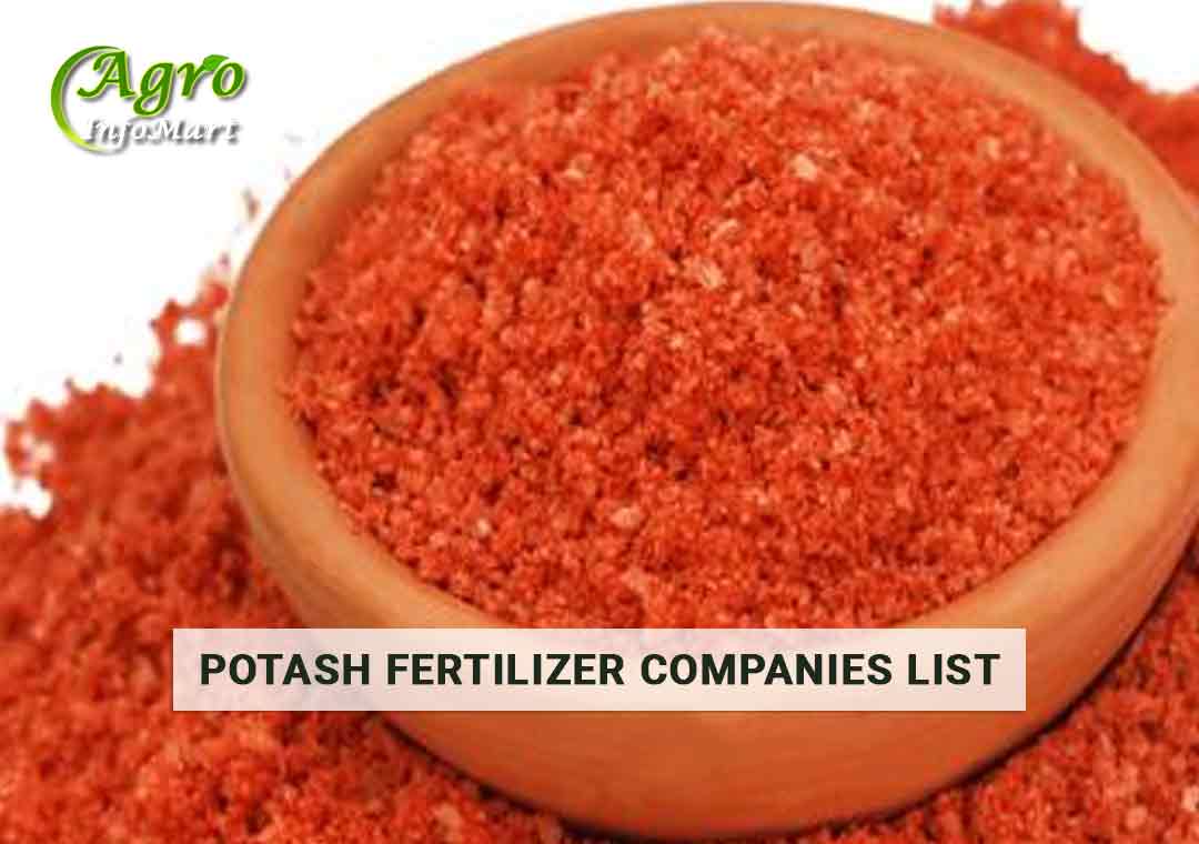 Potash Fertilizer 