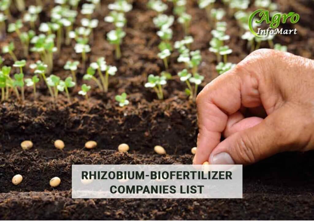 Rhizobium Biofertilizer Manufacturers Companies In India